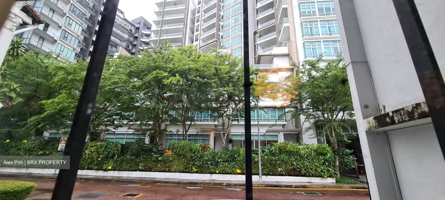 Emerald Hill Conservation Area (D9), Apartment #452116931